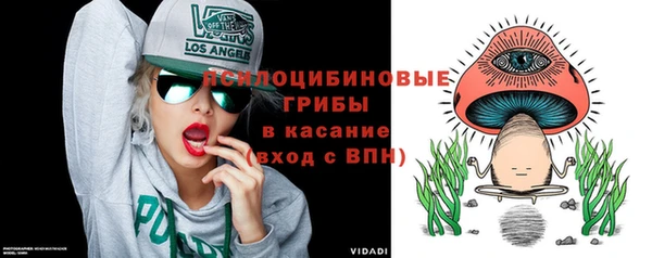 ПСИЛОЦИБИНОВЫЕ ГРИБЫ Абдулино