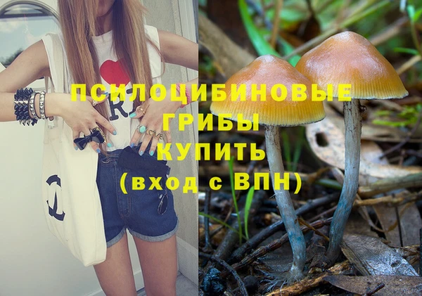 герыч Алзамай
