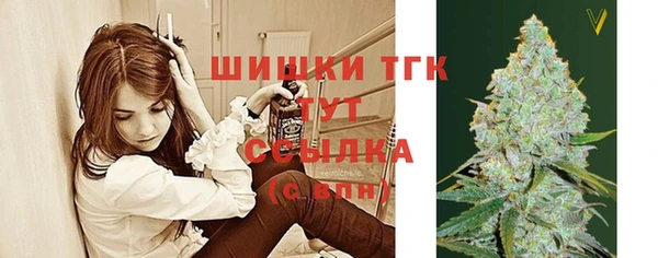 ГАЛЛЮЦИНОГЕННЫЕ ГРИБЫ Абаза